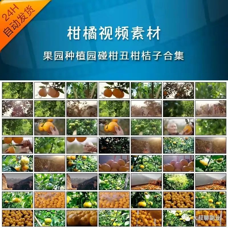 空手套白狼的抖音赚钱项目,日赚500+