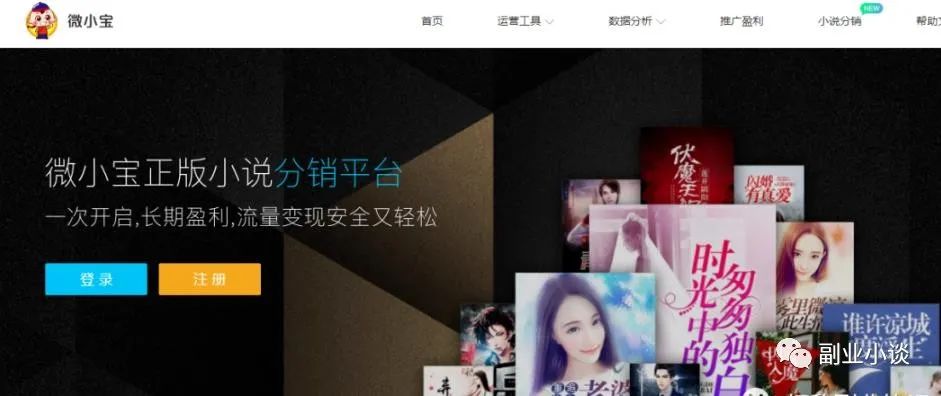 微小宝正版小说分销:零基础分销项目,日入100+