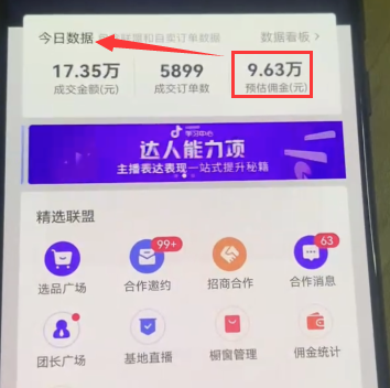 羊了个羊通关秘籍一单29.9,日销4000单!