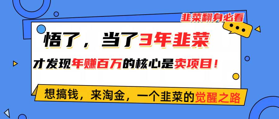 悟了,当了3年韭菜,才发现网赚圈年赚100万的核心是卖项目,含泪分享!