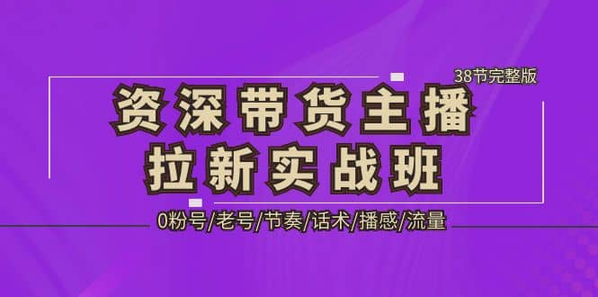 资深·带货主播拉新实战班,0粉号/老号/节奏/话术/播感/流量-38节完整版