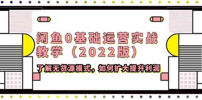 闲鱼0基础运营实战教学(2022版)了解无货源模式,如何扩大提升利润