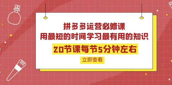 拼多多运营必修课:20节课每节5分钟左右,用最短的时间学习最有用的知识