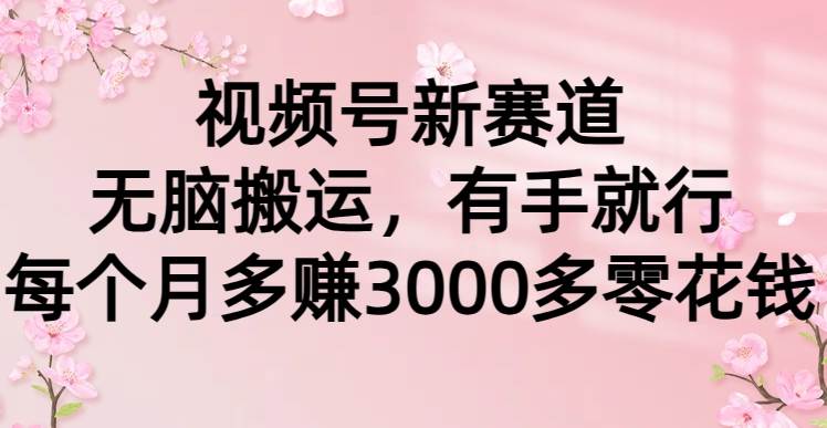 视频号新赛道,无脑搬运,有手就行,每个月多赚3000多零花钱