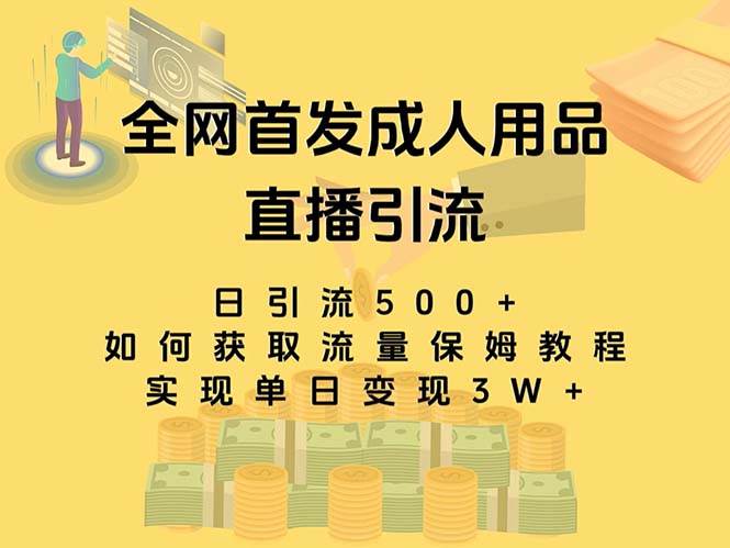 最新全网独创首发,成人用品直播引流获客暴力玩法,单日变现3w保姆级教程