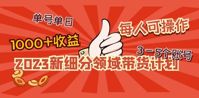 2023新细分领域带货计划:单号单日1000+收益不难,每人可操作3-5个账号