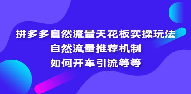 拼多多自然流量天花板实操玩法:自然流量推荐机制,如何开车引流等等