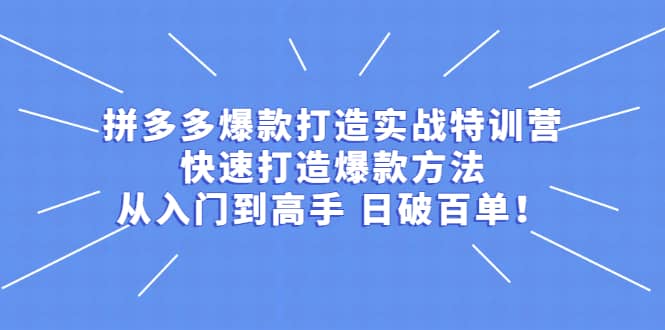 拼多多爆款打造实战特训营:快速打造爆款方法,从入门到高手 日破百单