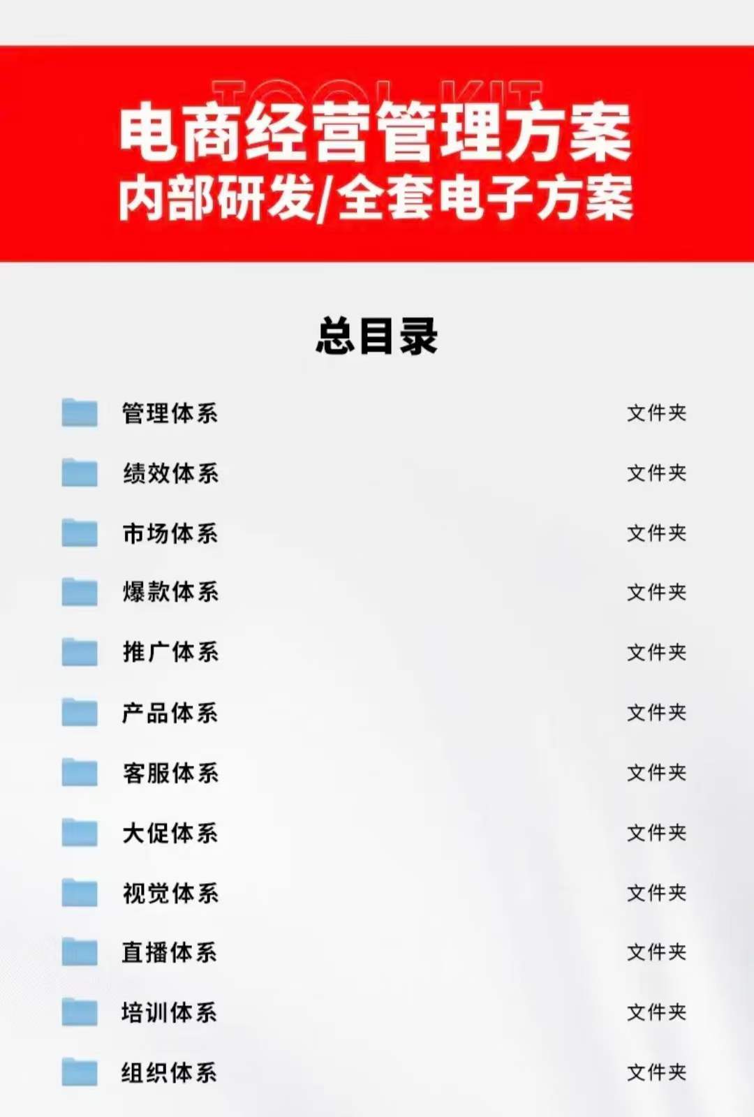外面卖198·电商企业经营管理工具:全套执行落地方案 标准模块·直接套用