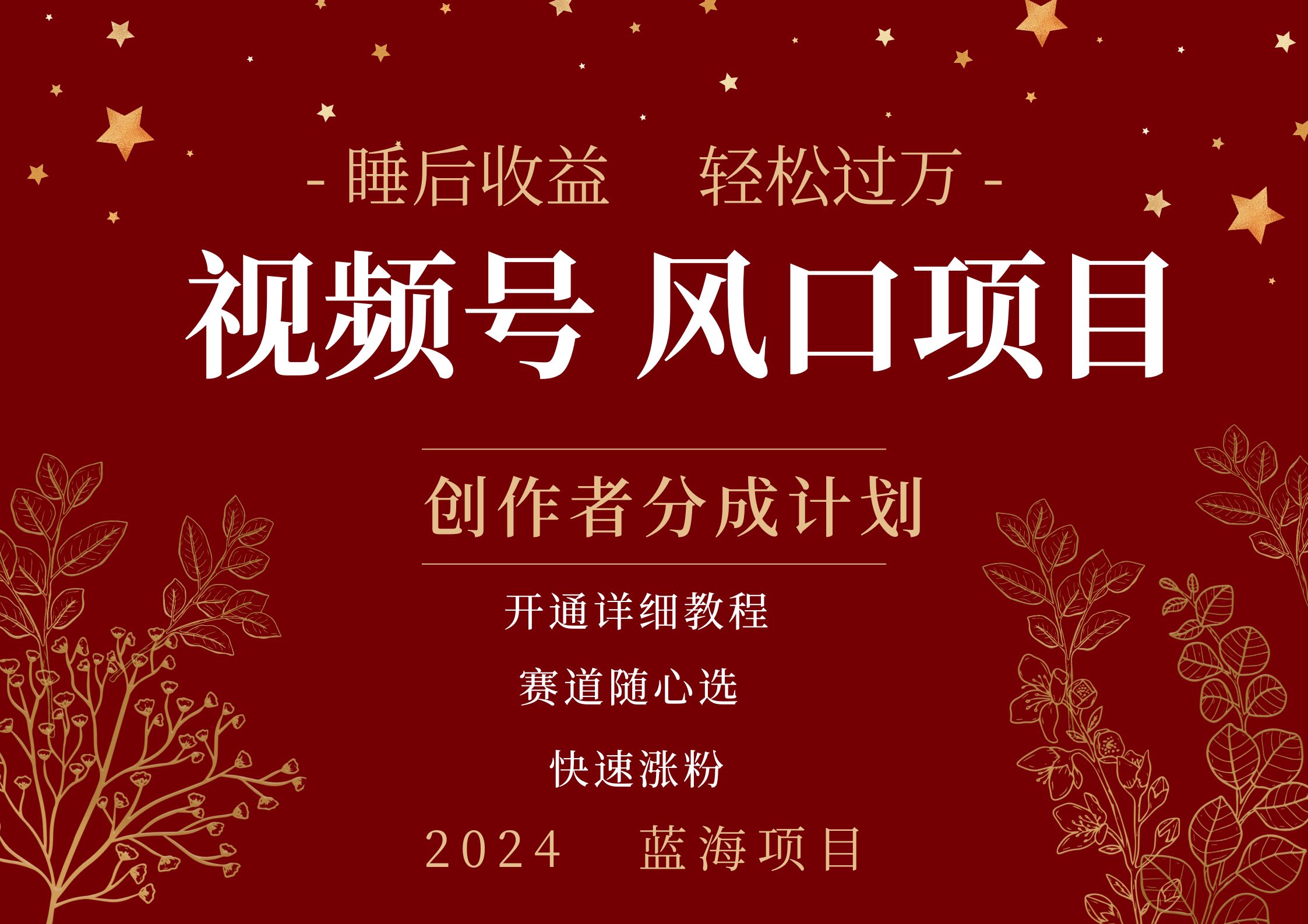 拥有睡眠收益的微信视频号大风口项目,轻松月入过万+,多赛道选择,可矩阵,玩法简单轻松上手