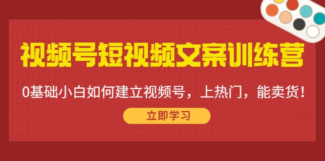 视频号短视频文案训练营:0基础小白如何建立视频号,上热门,能卖货!
