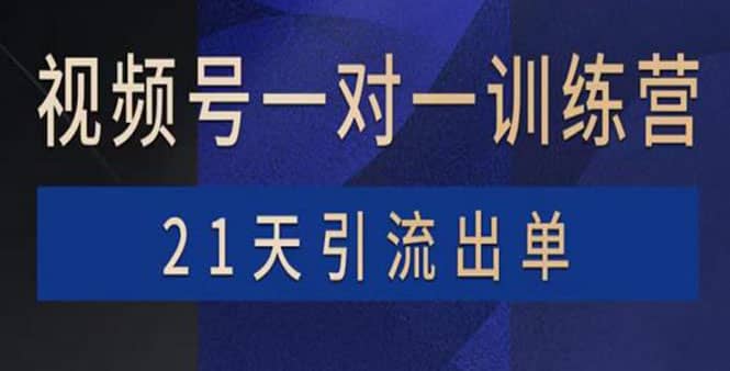 视频号训练营:带货,涨粉,直播,游戏,四大变现新方向,21天引流出单