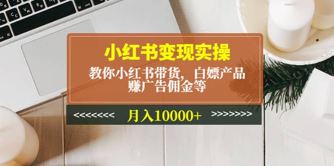小红书变现实操:教你小红书带货,白嫖产品,赚广告佣金等
