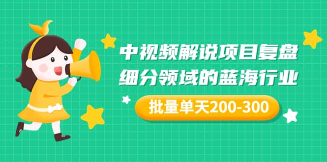 某付费文章:中视频解说项目复盘:细分领域的蓝海行业 批量单天200-300收益