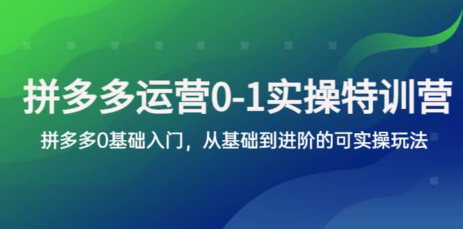 拼多多-运营0-1实操训练营,拼多多0基础入门,从基础到进阶的可实操玩法