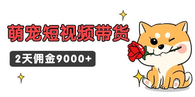 东哲日记·萌宠短视频带货,2天佣金9000+