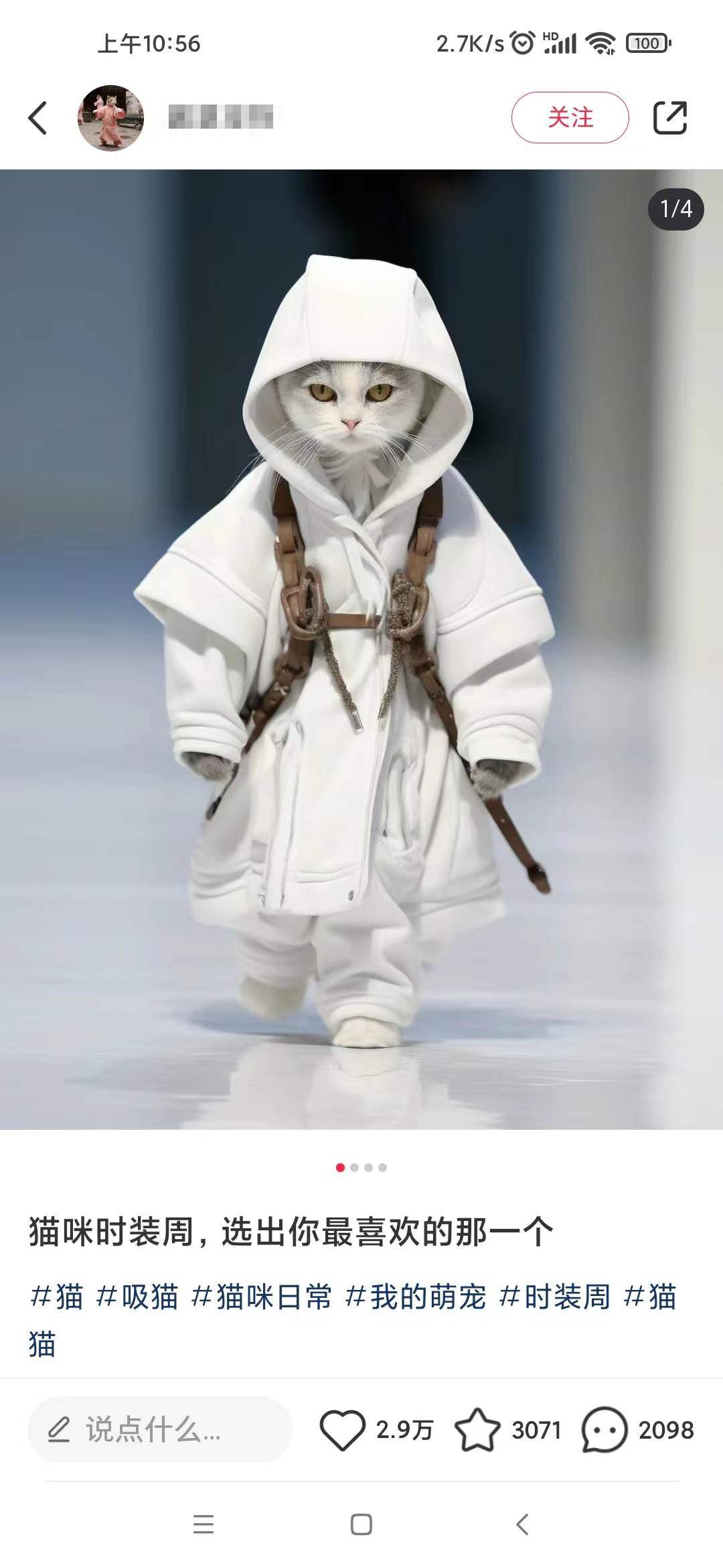 小红书最新爆款项目,Animal秀,7天变现1w+