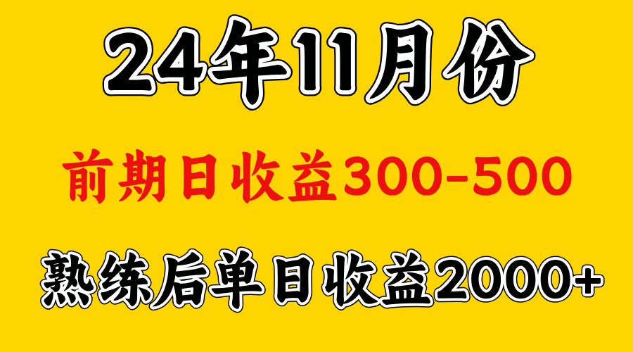 轻资产项目,前期日收益500左右,后期日收益1500-2000左右,多劳多得