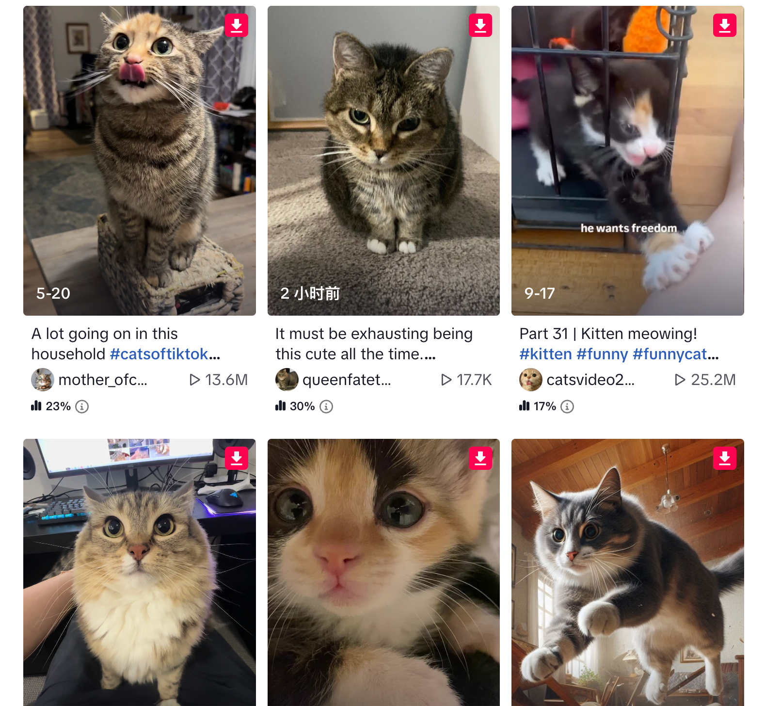 TikNote:TikTok无水印下载视频的利器来了!外贸人必备