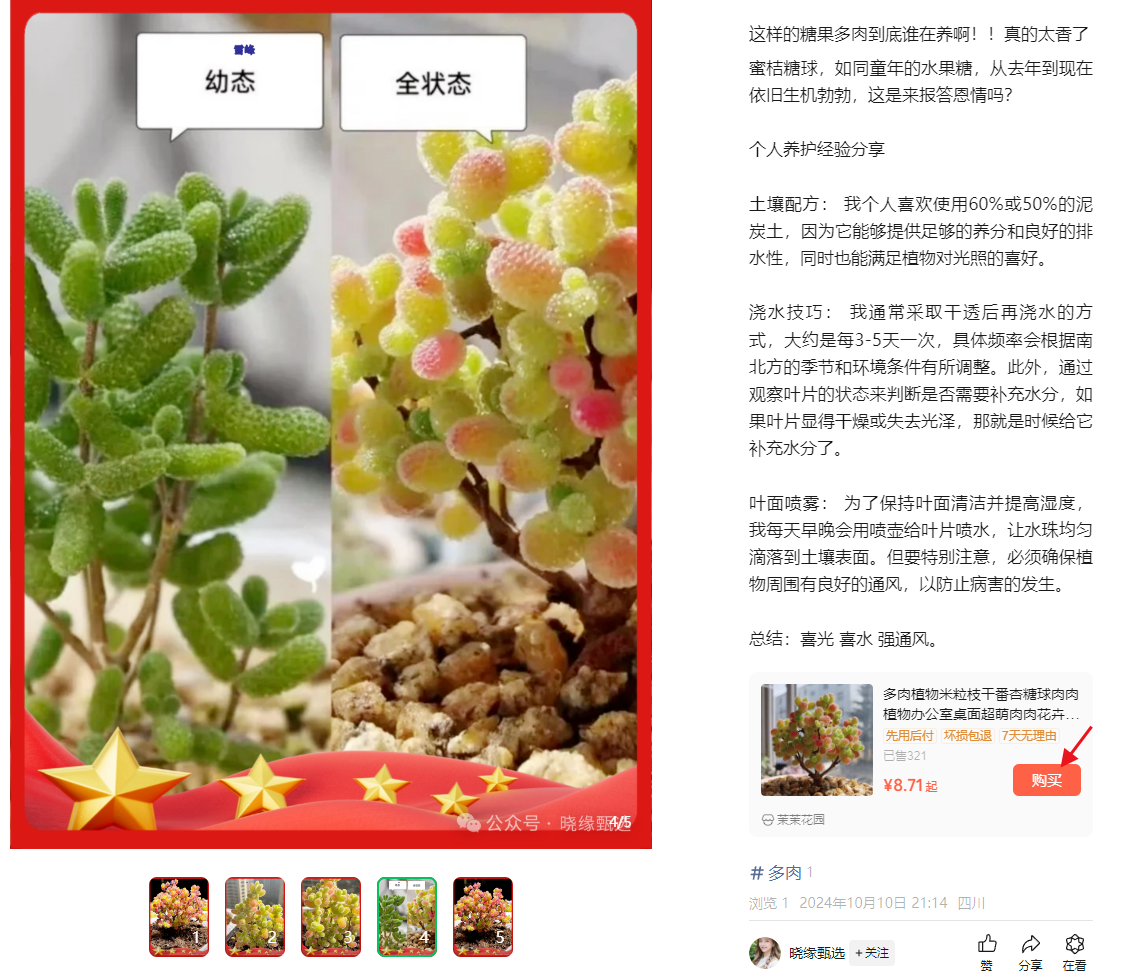 不懂这些操作,你在小绿书带货是赚不到钱的