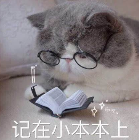 这次写啥?干脆把我AI搞文章的底牌给你...(建议收藏)