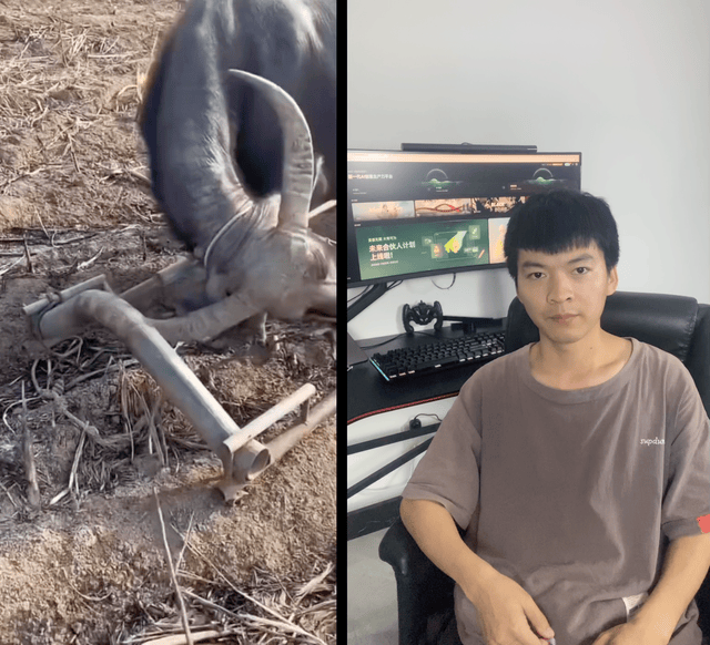 贼拉变态，AI萌宠打工人拉爆流量，附保姆级教程，有手就会！