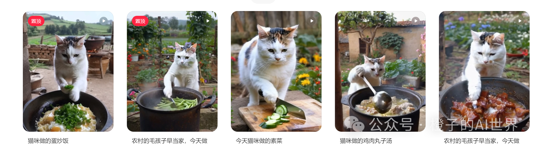 AI猫咪做饭视频快速暴力起号玩法!6个视频涨粉1.2w