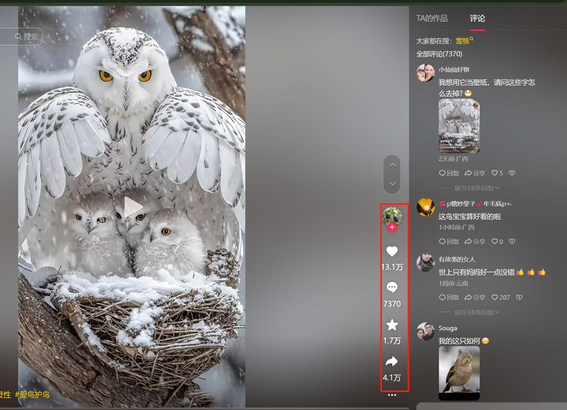 又被感动到了,只需3步,用AI教你做出13.1万赞的鸟妈妈守护幼崽爆款视频(内附实操教程)