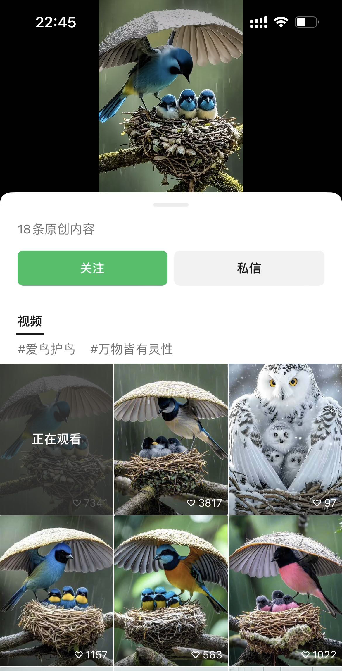 又被感动到了,只需3步,用AI教你做出13.1万赞的鸟妈妈守护幼崽爆款视频(内附实操教程)
