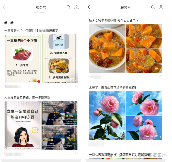 小绿书21天佣金收入1.16万,吐血整理实战干货分享!