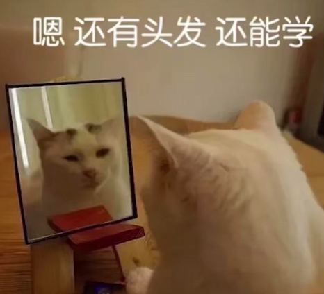 这次写啥?干脆把我AI搞文章的底牌给你...(建议收藏)