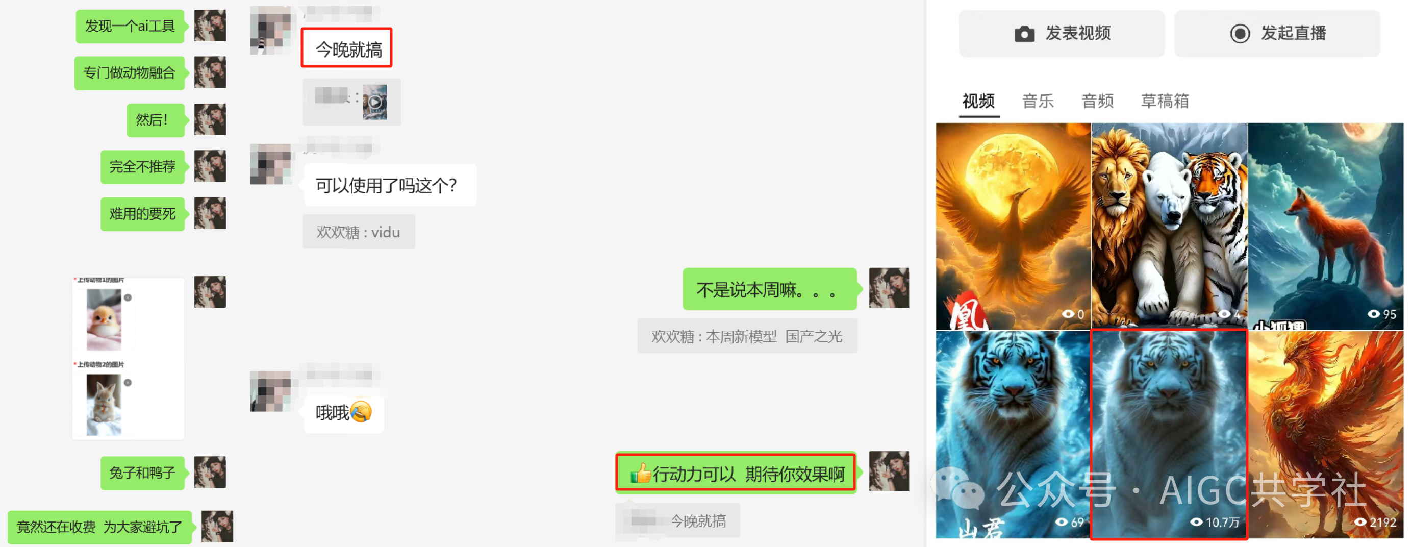 条条爆!国内外流量都超好!手把手教你快速起号