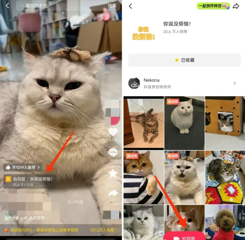 猫咪唱歌视频,用免费AI即可完成,条条爆款