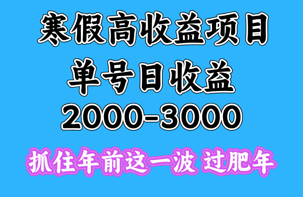 寒假期间一天收益2000-3000+,抓住年前这一波