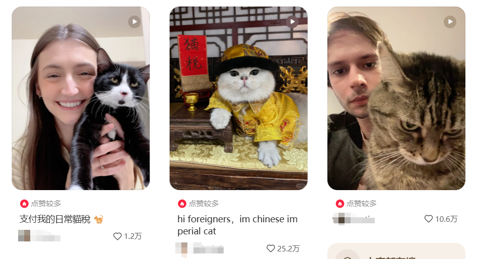 AI制作超级逼真的宠物,小红书爆了,快来制作