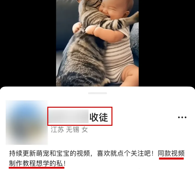 萌娃萌宠爆款视频制作，1条视频点赞转发10万+，手把手教你