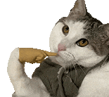 “有血有肉”的文章,竟然可以让AI用提示词写出来!