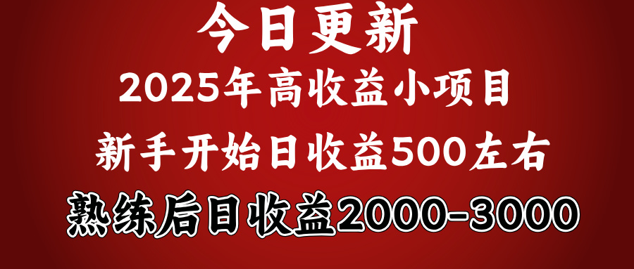 2025开年好项目,新手日收益500+ 熟练掌握后,日收益平均2000多