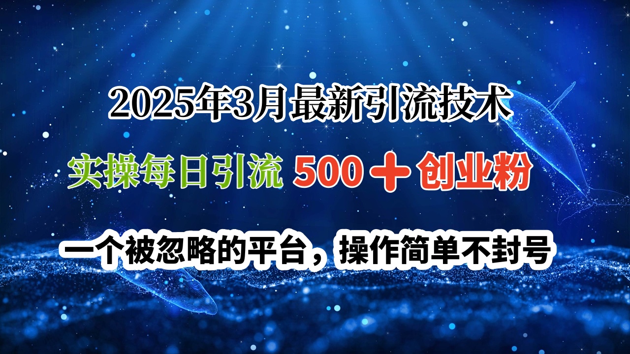 2025年3月最新引流技术,实操每日引流500➕创业粉,一个被忽略的平台,操作简单不封号