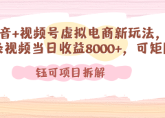 抖音+视频号虚拟电商新玩法,一条视频当日收益8000+,可矩阵