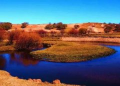 不到10天,稳定日赚300的小项目,最高一天2000+