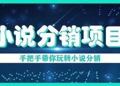 小说分销副业项目,小说分销赚钱全套攻略!新手也可以快速上手