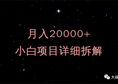 月入20000+,小白项目详细拆解