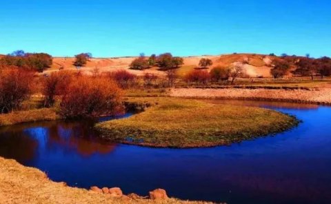 不到10天,稳定日赚300的小项目,最高一天2000+