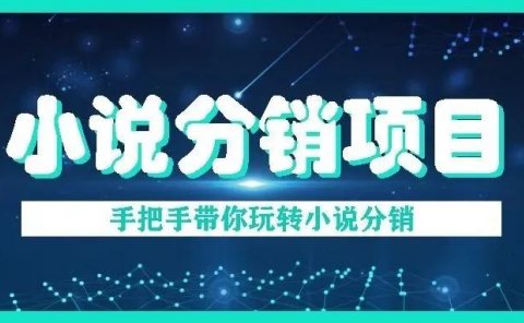 小说分销副业项目,小说分销赚钱全套攻略!新手也可以快速上手