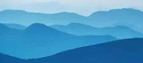 农村暴力赚钱好项目,致富新出路!