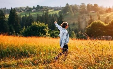 农村做什么赚钱?农村的暴利行业你知道几个