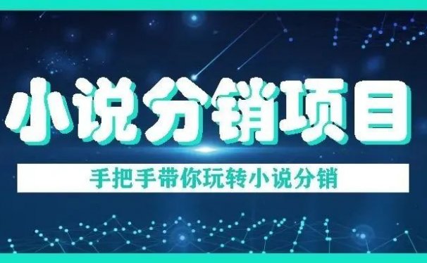 小说分销副业项目，小说分销赚钱全套攻略！新手也可以快速上手