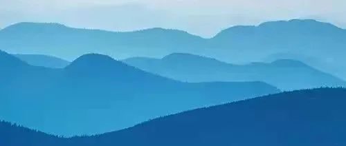 农村暴力赚钱好项目,致富新出路!