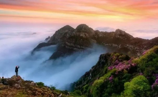 少而正确的事,这个项目门槛低暴利,不容错过